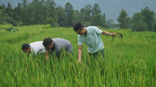 DSC02238.jpg DSC02238.jpg