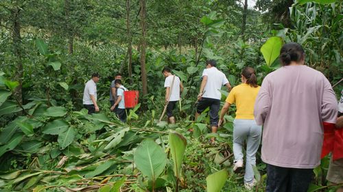 DSC02307.jpg DSC02307.jpg