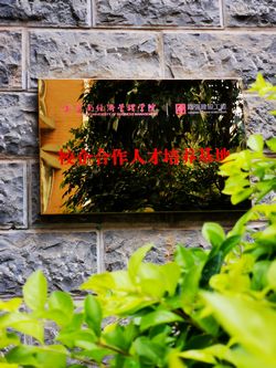 图片9.jpg 图片9.jpg