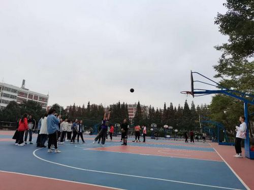 图片4.jpg 图片4.jpg