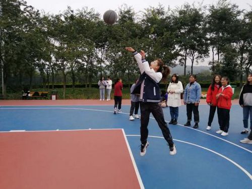 图片5.jpg 图片5.jpg