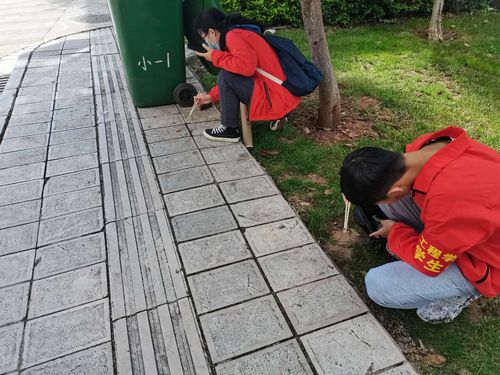 微信图片_202011061435375.jpg 微信图片_202011061435375.jpg