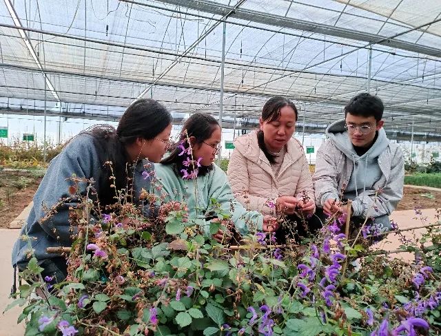 ‘绝知此事要躬行’——医学院药学行业实践、中药学行业实践活动顺利完成 第 4 张 ‘绝知此事要躬行’——医学院药学行业实践、中药学行业实践活动顺利完成 第 4 张