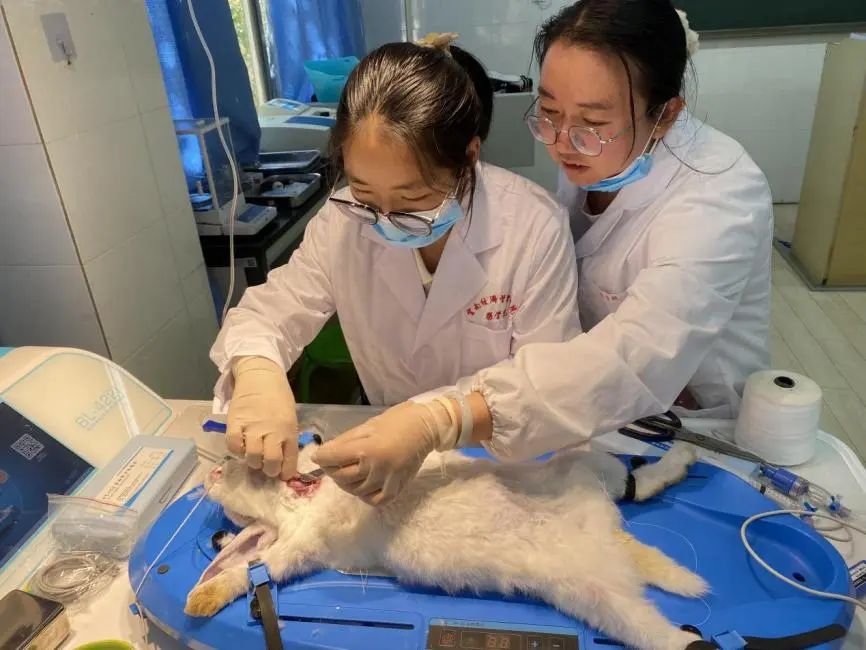 药理学课程组开展集体备课活动，凝心聚力促药理学实验教学创新与发展 第 2 张