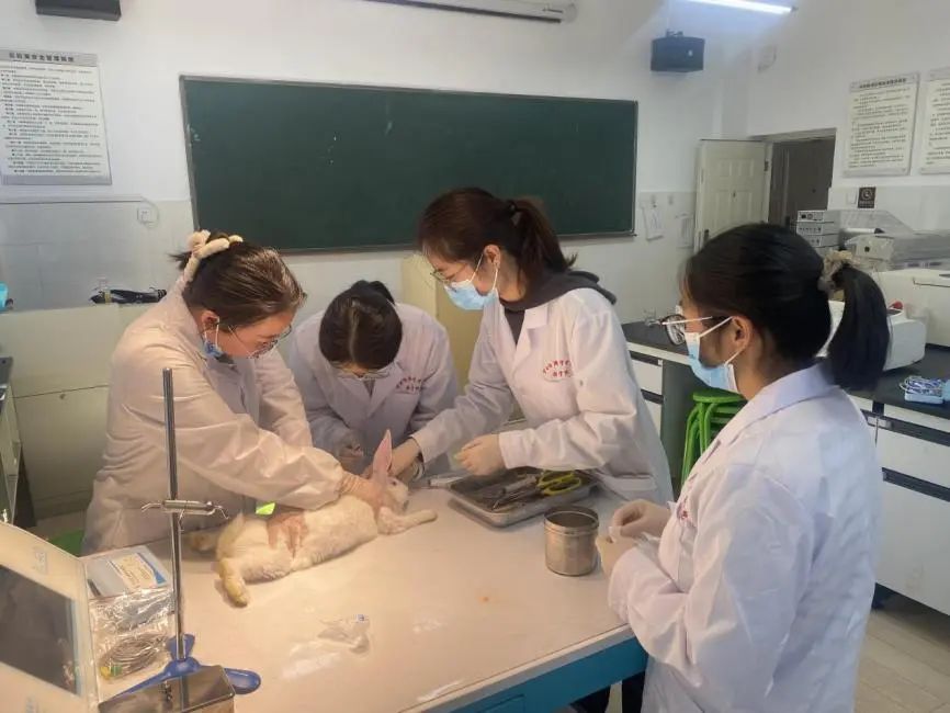 药理学课程组开展集体备课活动，凝心聚力促药理学实验教学创新与发展 第 1 张