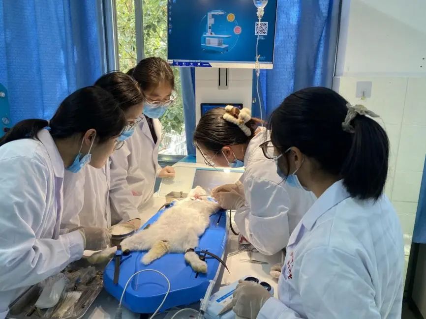 药理学课程组开展集体备课活动,凝心聚力促药理学实验教学创新与发展 第 3 张 药理学课程组开展集体备课活动,凝心聚力促药理学实验教学创新与发展 第 3 张