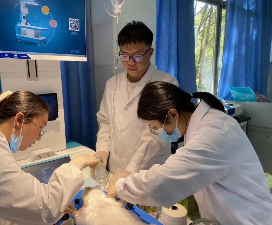 药理学课程组开展集体备课活动，凝心聚力促药理学实验教学创新与发展 第 5 张