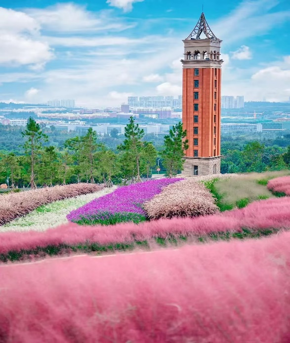 7c8721a082450fc808bdbdbf6507511d.png 7c8721a082450fc808bdbdbf6507511d.png