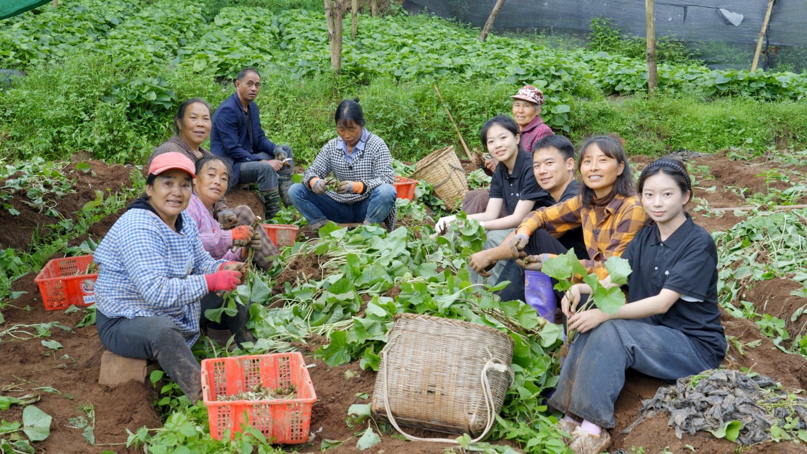 太上头了🤤，这个蘸料经管人研发的！ 第 8 张