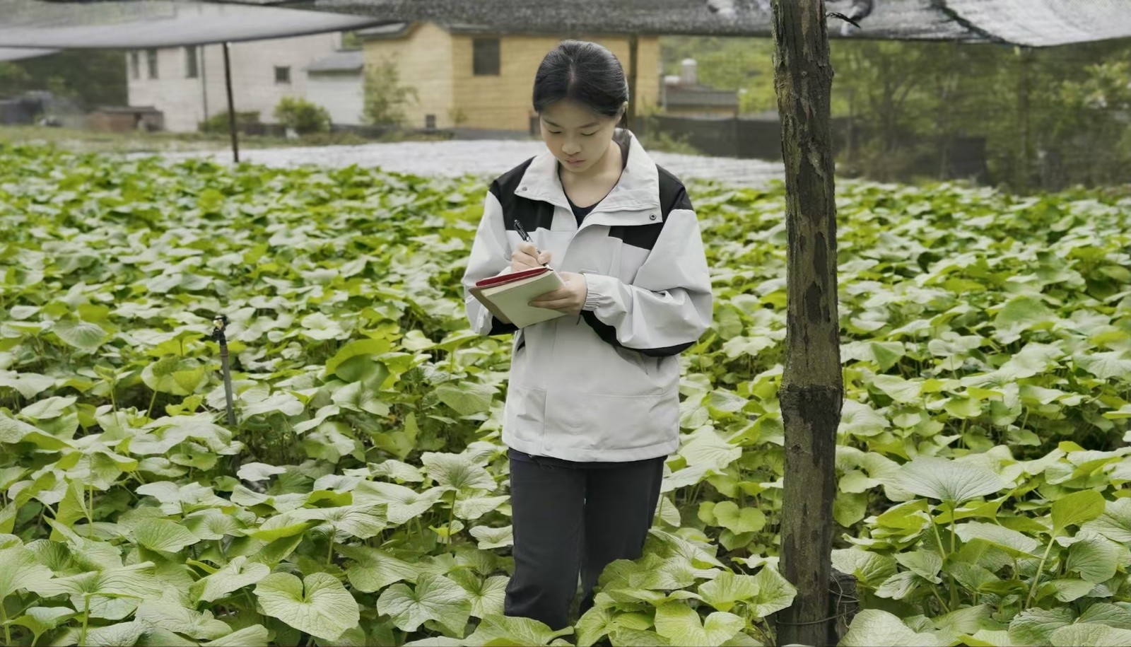 太上头了🤤，这个蘸料经管人研发的！ 第 17 张