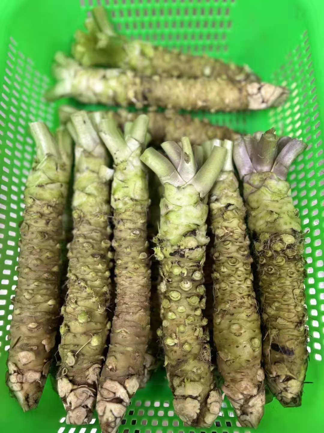 太上头了🤤，这个蘸料经管人研发的！ 第 23 张