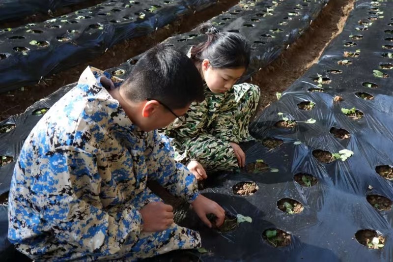 太上头了🤤，这个蘸料经管人研发的！ 第 11 张