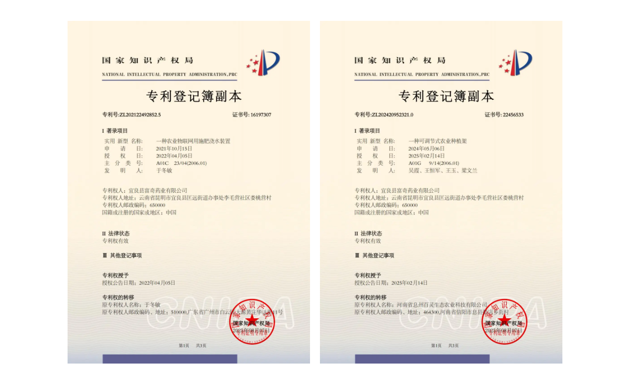 斩获全国银奖，这个团队让侠界奇药照见现实⁉️ 第 7 张