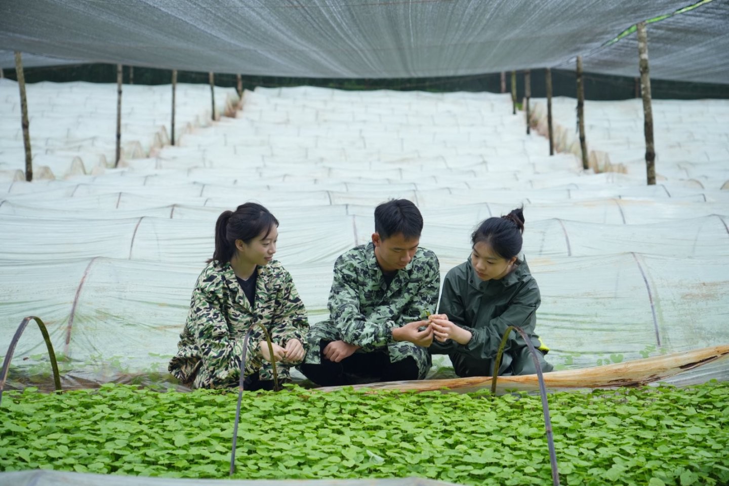 太上头了🤤，这个蘸料经管人研发的！ 第 2 张
