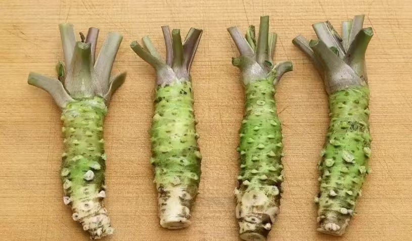 太上头了🤤，这个蘸料经管人研发的！ 第 18 张