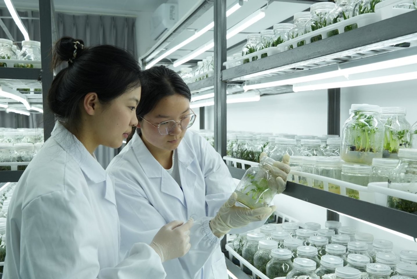 太上头了🤤，这个蘸料经管人研发的！ 第 9 张