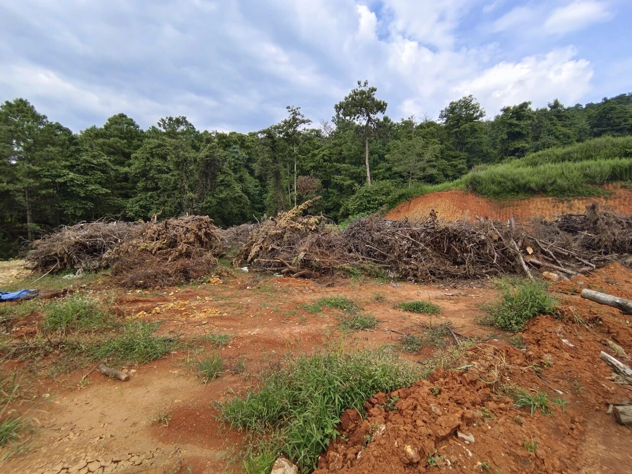 暑假社会实践 | 万物生息，科技赋能ESG循环发展 第 5 张