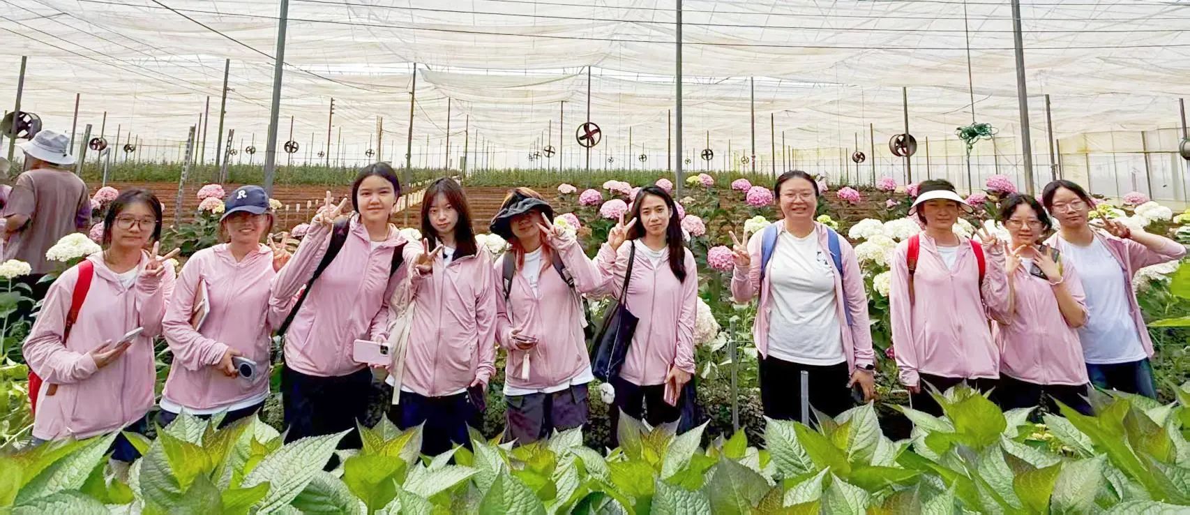 暑期社会实践|探秘玫瑰产业双生花,解锁“花”样经济新价值 第 14 张 暑期社会实践|探秘玫瑰产业双生花,解锁“花”样经济新价值 第 14 张