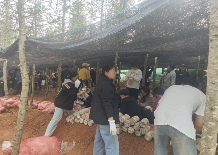 劳动赋能促成长 | 财会金融学院开展校外劳动实践活动 第 5 张