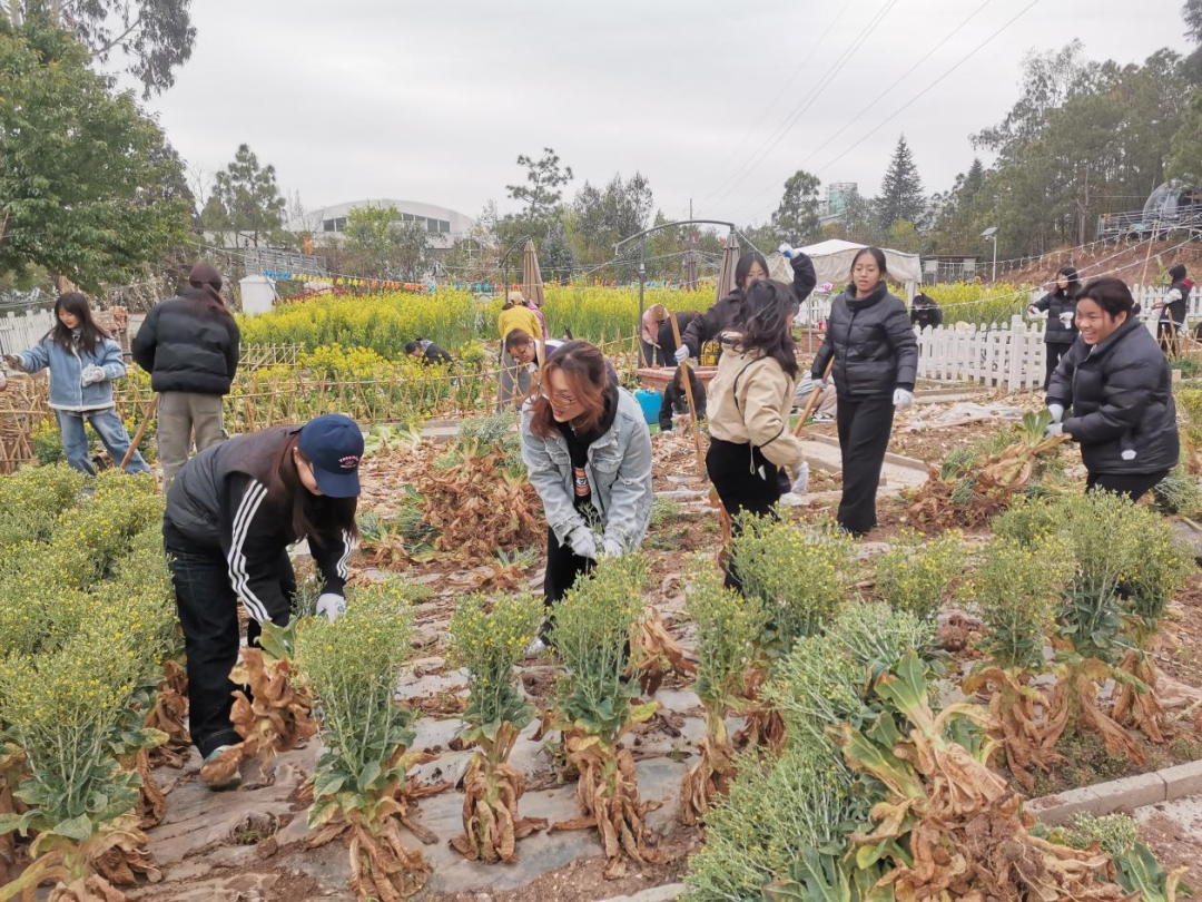 劳动赋能促成长 | 财会金融学院开展校外劳动实践活动 第 3 张