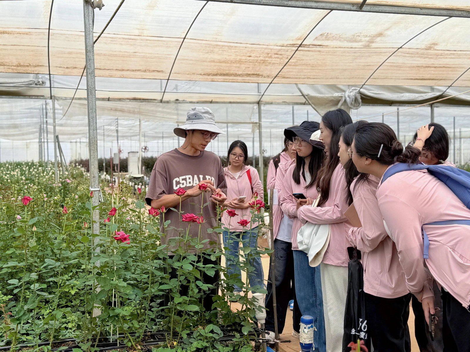 暑期社会实践|探秘玫瑰产业双生花,解锁“花”样经济新价值 第 11 张 暑期社会实践|探秘玫瑰产业双生花,解锁“花”样经济新价值 第 11 张