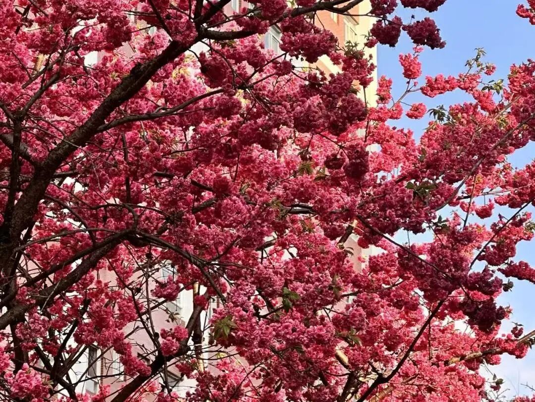 云南经济管理学院财商学院，我有太多舍不得……. 第 1 张